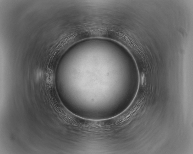 X0000115771251200911131210