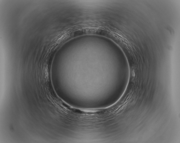 X0000115771252200911131210