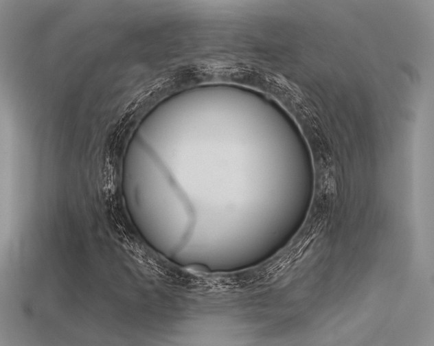 X0000115771253200911131210