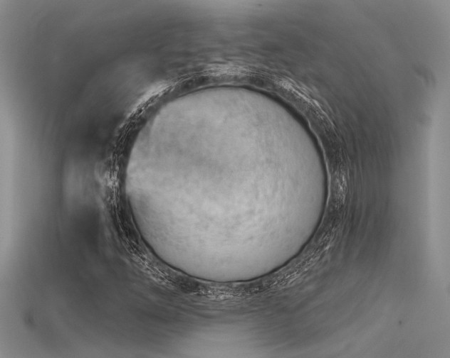 X0000115771254200911131210