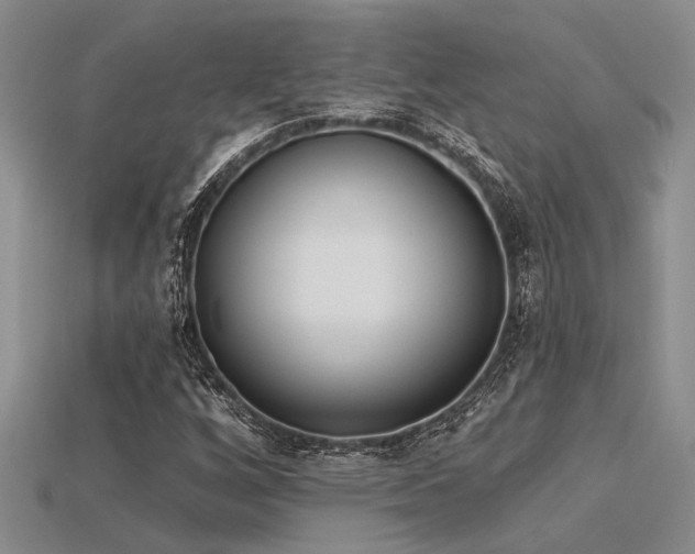 X0000115771256200911131210