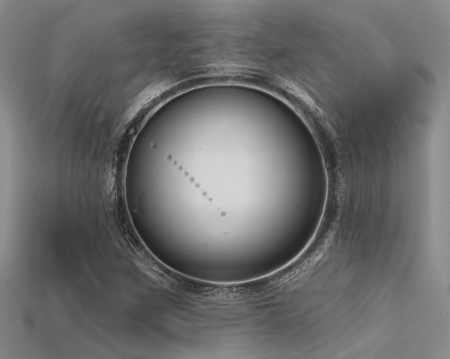 X0000115771259200911131210