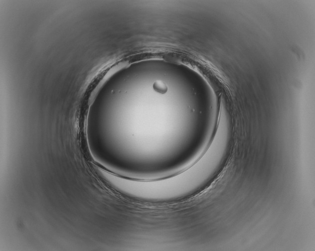 X0000115771261200911131210