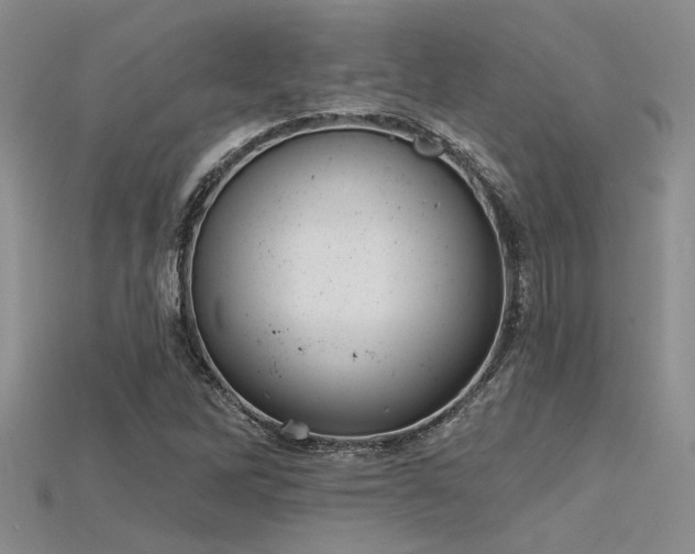 X0000115771262200911131210