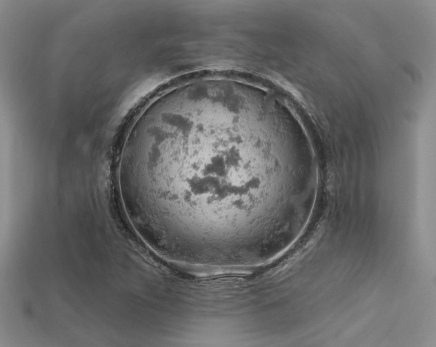 X0000115771263200911131210