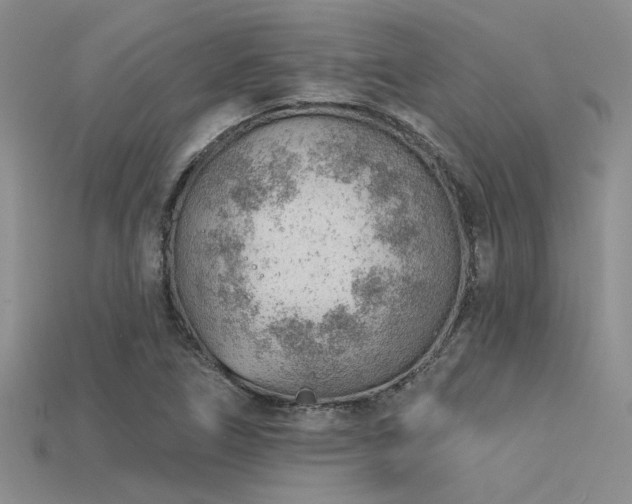 X0000115771266200911131209