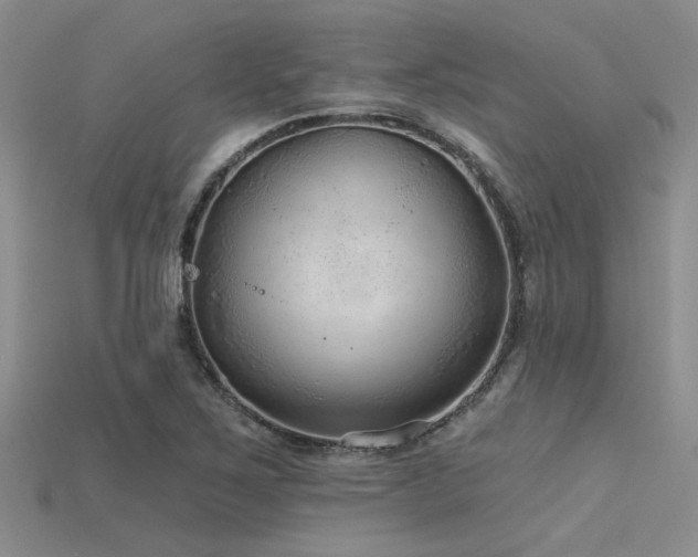 X0000115771267200911131209