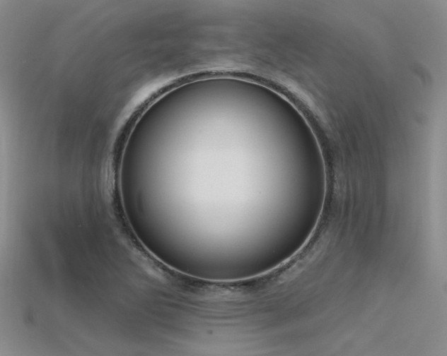 X0000115771270200911131209