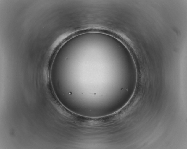 X0000115771271200911131209