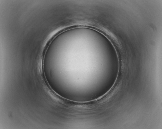 X0000115771272200911131209
