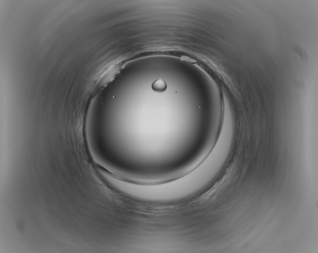 X0000115771273200911131209