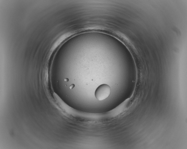 X0000115771274200911131209