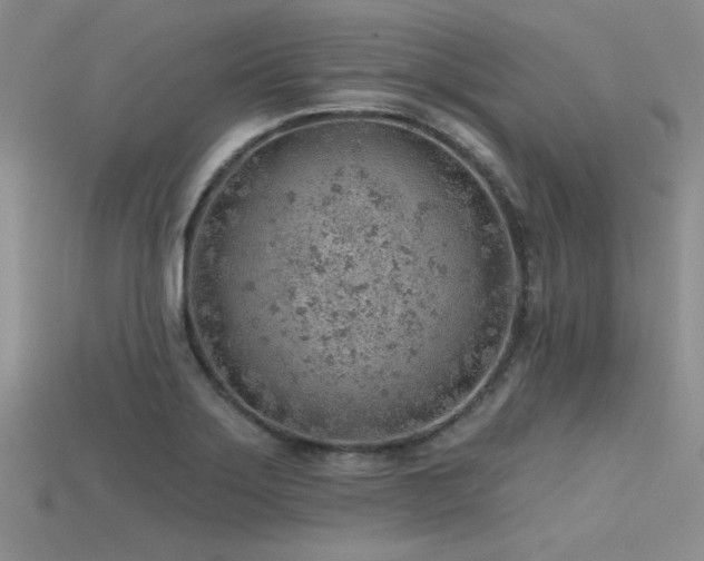 X0000115771275200911131209