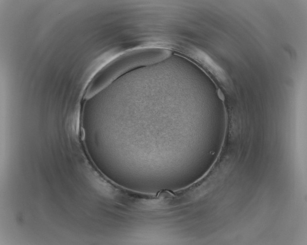 X0000115771276200911131209