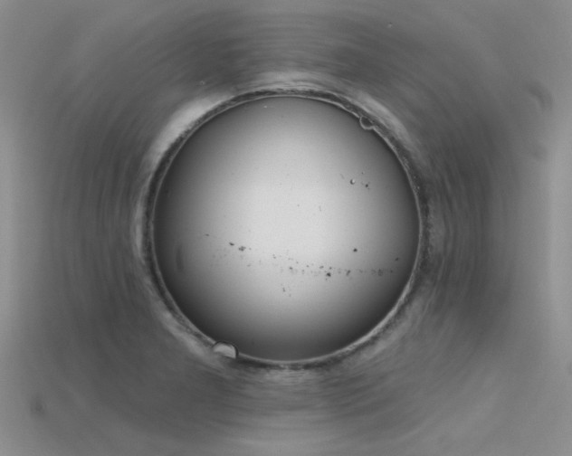 X0000115771277200911131209