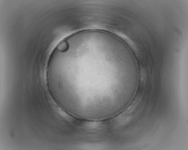 X0000115771278200911131209
