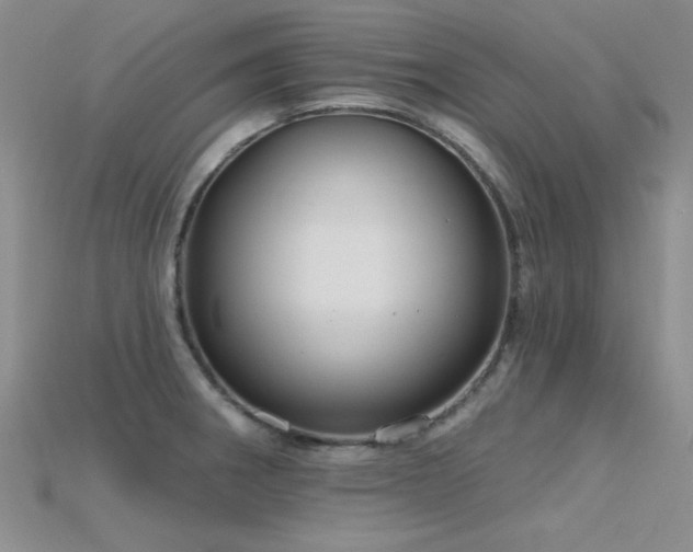 X0000115771282200911131209