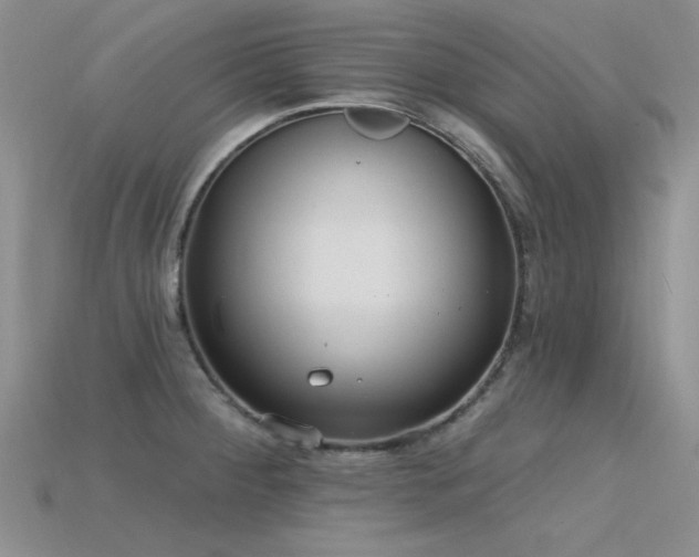 X0000115771284200911131209