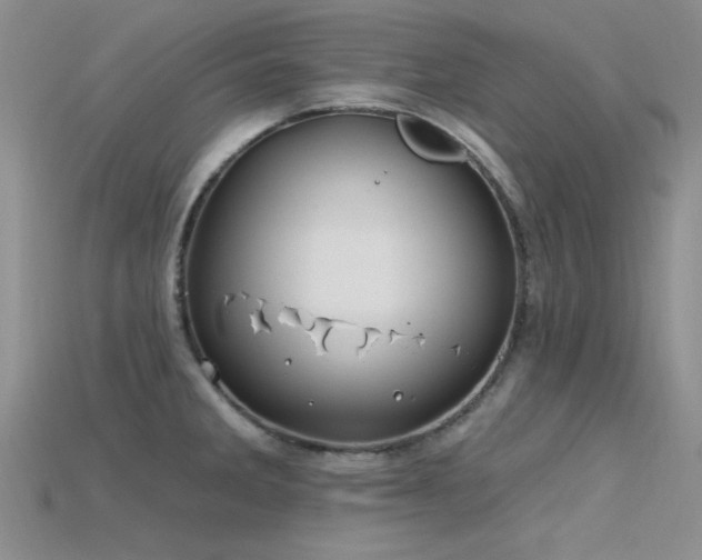 X0000115771285200911131209