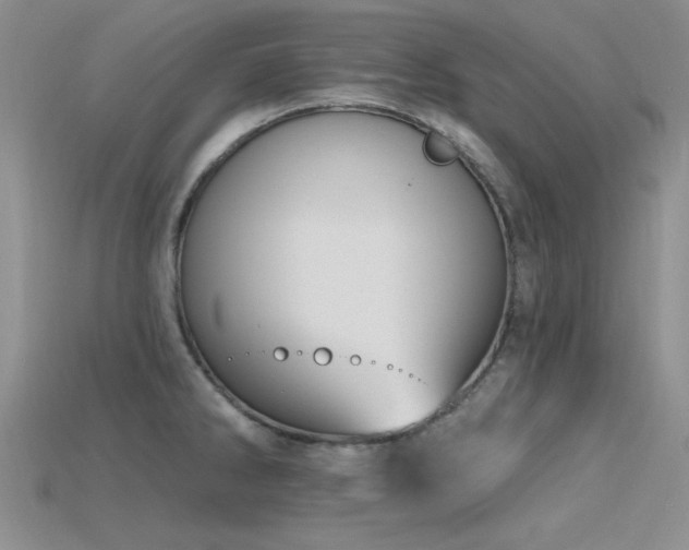 X0000115771286200911131209