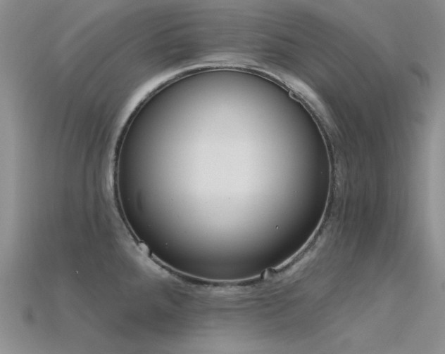 X0000115771288200911131209