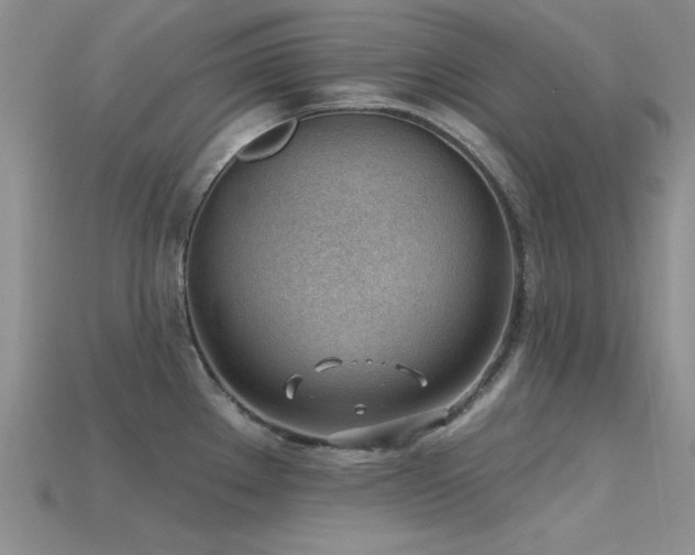 X0000115771289200911131209