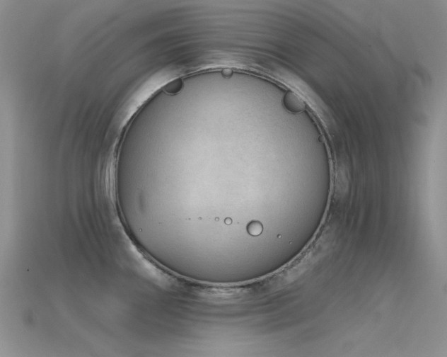 X0000115771290200911131209