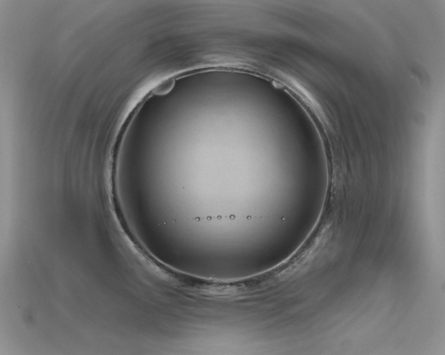 X0000115771291200911131209