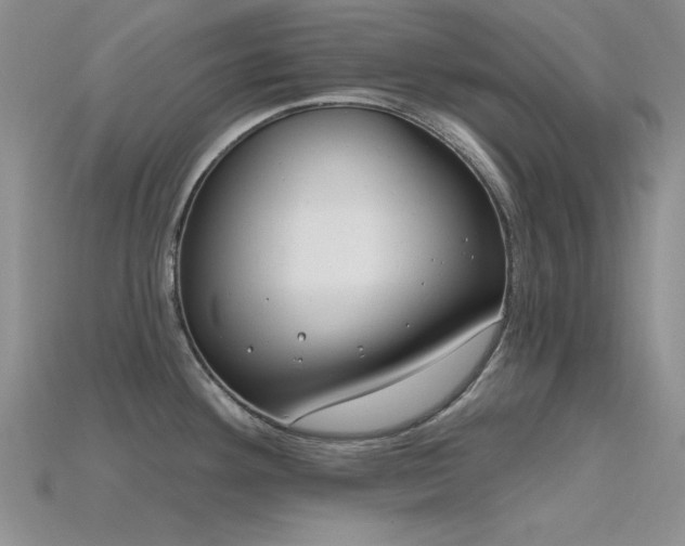 X0000115771292200911131209
