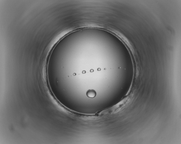 X0000115771293200911131209
