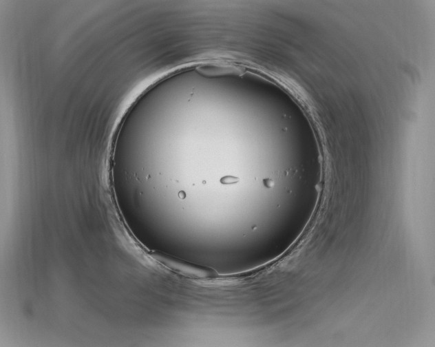 X0000115771296200911131209
