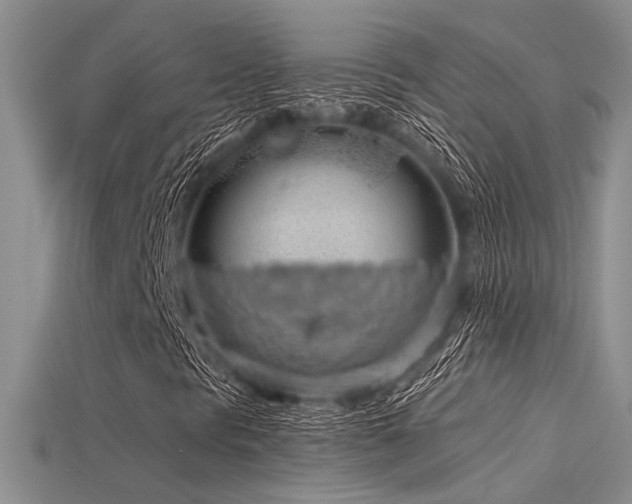X0000115771297200911131208