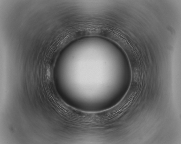 X0000115771298200911131208