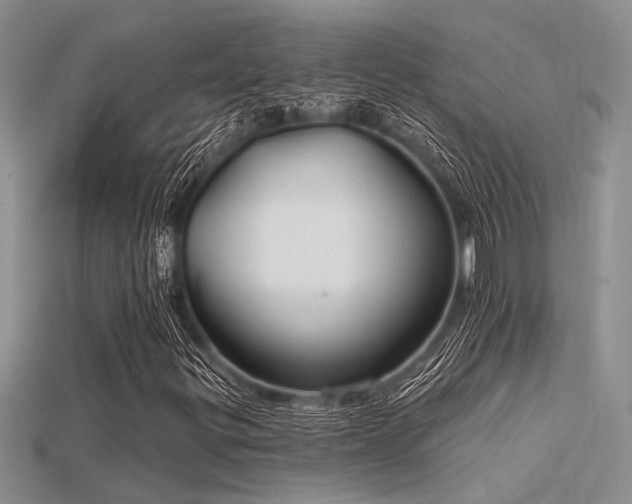 X0000115771299200911131208