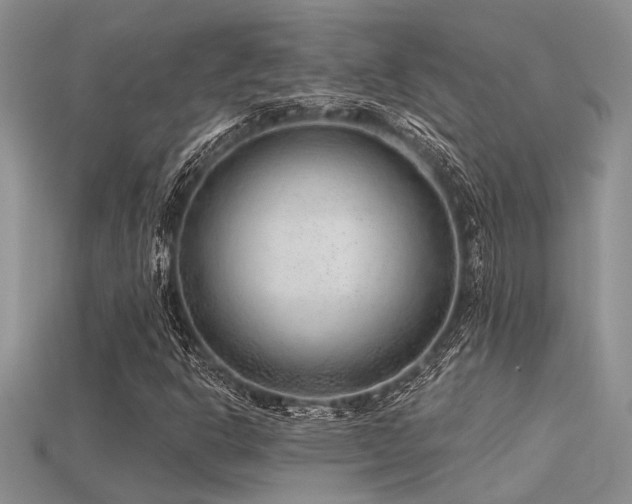 X0000115771302200911131208