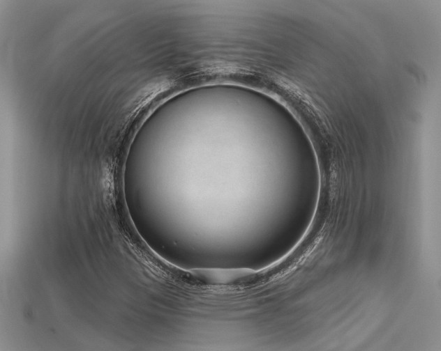 X0000115771305200911131209
