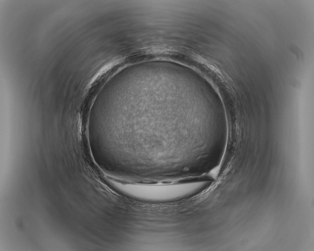 X0000115771306200911131209