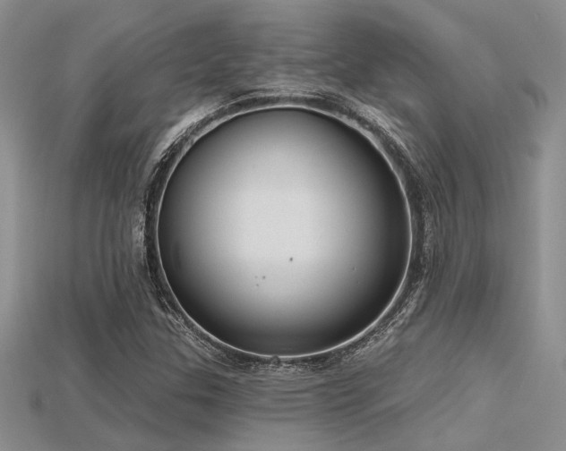 X0000115771307200911131209