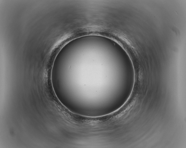 X0000115771309200911131209