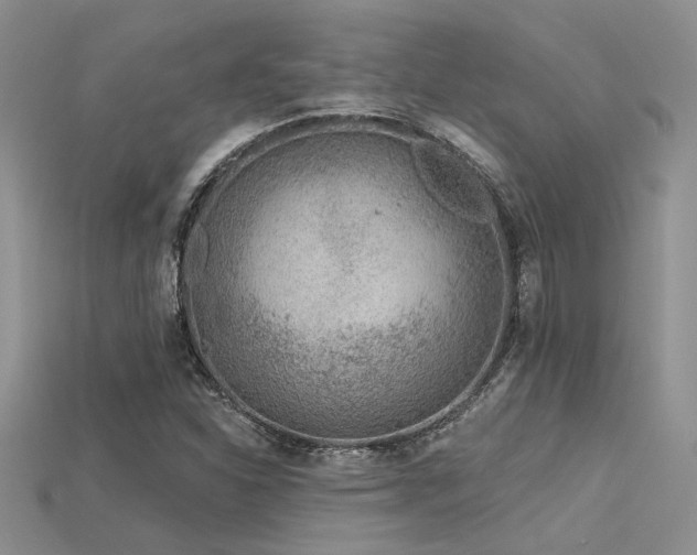 X0000115771310200911131209