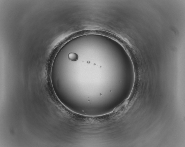 X0000115771311200911131209