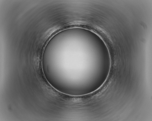 X0000115771313200911131209