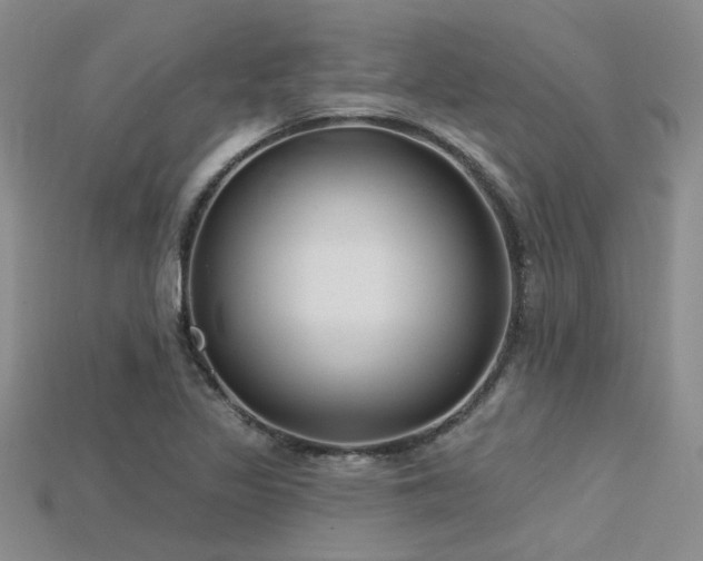 X0000115771317200911131209