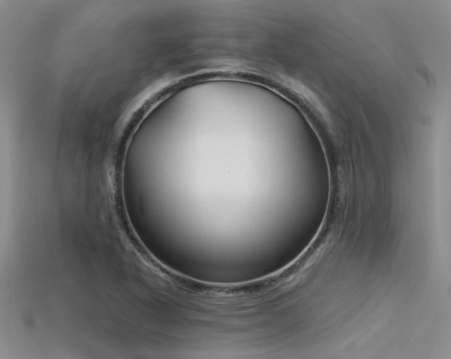 X0000115771318200911131209