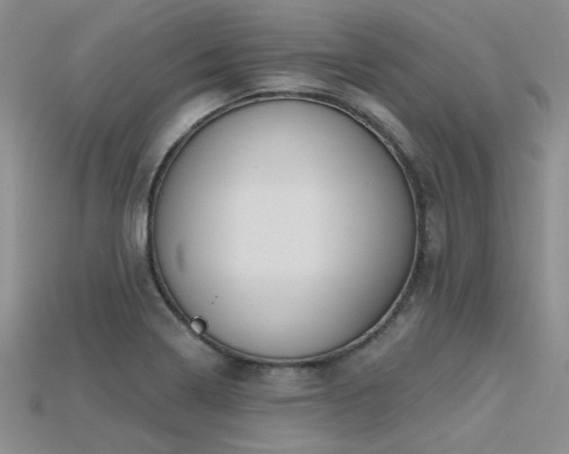 X0000115771322200911131209