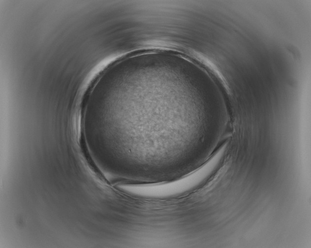 X0000115771323200911131209