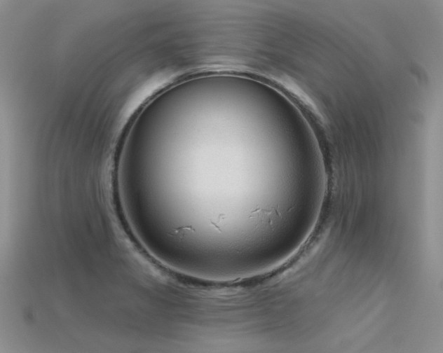 X0000115771325200911131209