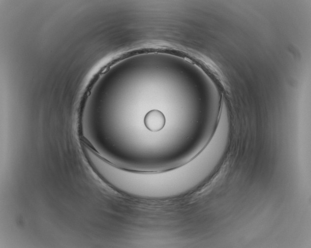 X0000115771326200911131209