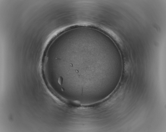 X0000115771327200911131209