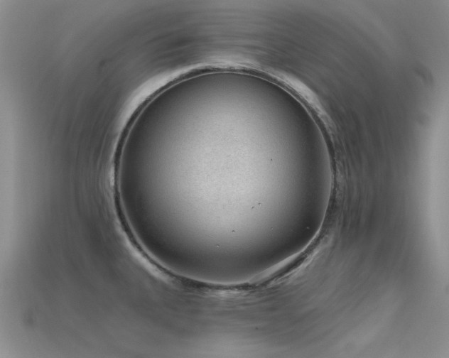X0000115771335200911131209